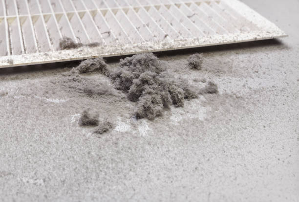Best Local Air Duct Cleaning Services  in Jackson, WY