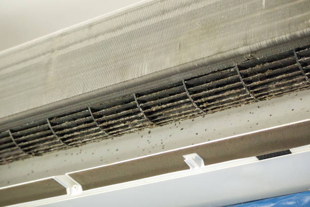 Reliable Jackson, WY Airduct Cleaning Solutions